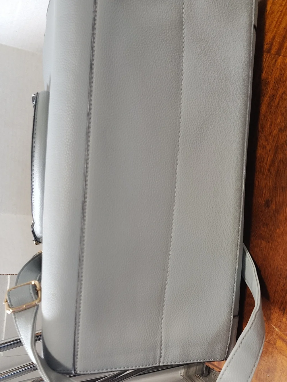 Luxury Bag Style Pet Carrier